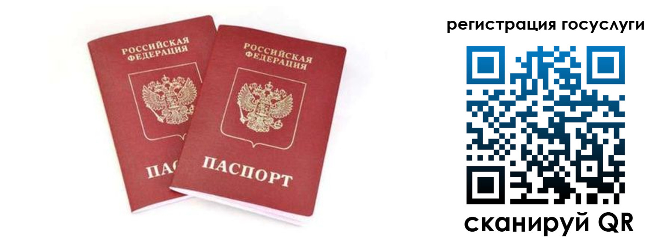 прописка в квартире в Нововоронеже